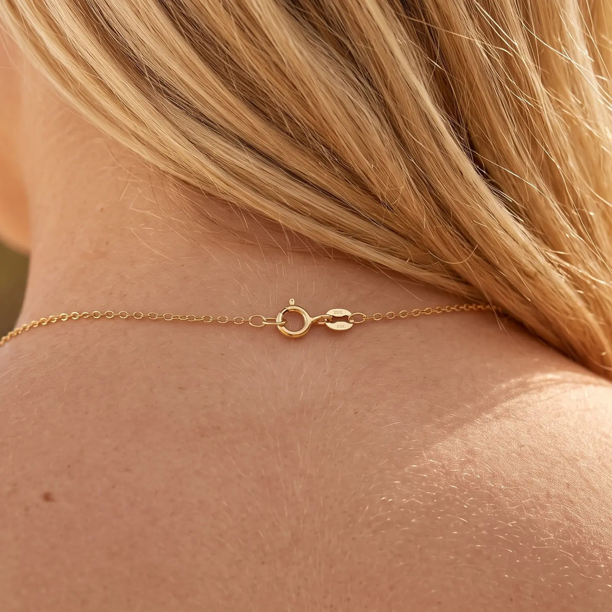 Collar Dorado Tortuga Circonitas